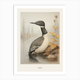 Vintage Bird Drawing Loon 3 Poster Art Print