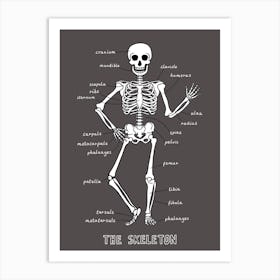 The Skeleton In Black Art Print
