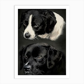 Black And White Dogs Art Print