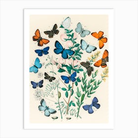 Butterflies And Flowers 3 Art Print