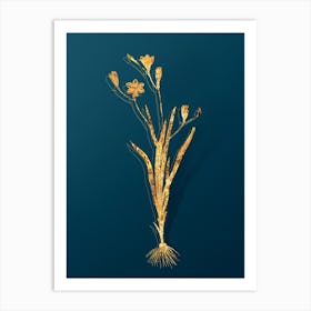 Vintage Ixia Bulbifera Botanical in Gold on Teal Blue Art Print