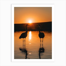 Sunset Sandhill Cranes Art Print