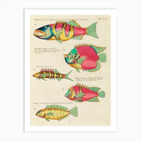 Colourful And Surreal Illustrations Of Fishes Found In Moluccas (Indonesia) And The East Indies, Louis Renard (1) Art Print