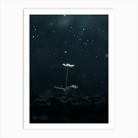 Flower In The Rain Art Print