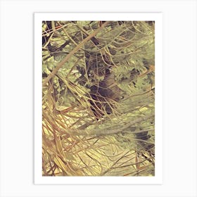 Bird In A Tree Art Print