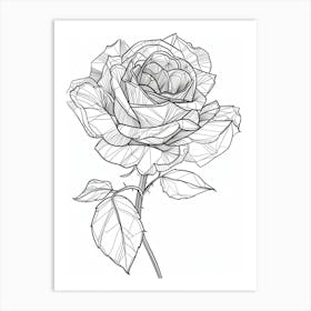 Roses Sketch 3 Art Print