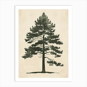 Cedar Tree Minimal Japandi Illustration 4 Art Print