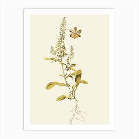 Sassafras 9 Art Print