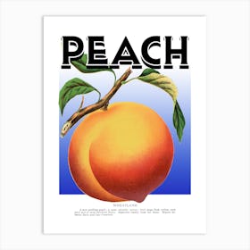 Peach Graphic Wall Art Vintage Unique Eclectic Art Print