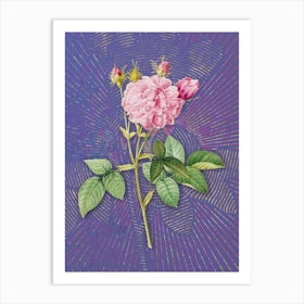 Vintage Pink Agatha Rose Botanical Illustration on Veri Peri n.0568 Art Print