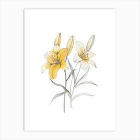 Yellow Lily 4 Art Print