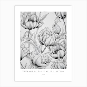 Tulip B&W Vintage Botanical Poster Art Print