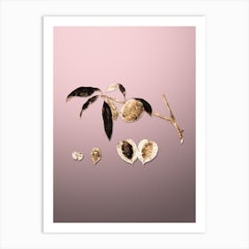 Gold Botanical Peach on Rose Quartz n.3657 Art Print