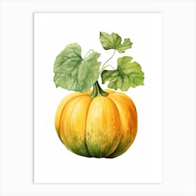 Acorn Squash Pumpkin Watercolour Illustration 1 Art Print
