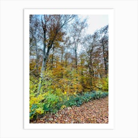 Autumn In The Forest 11 Art Print