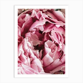 Pink Peony Art Print