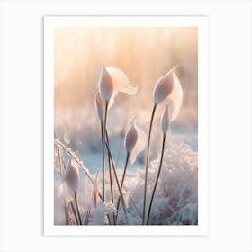 Frosty Botanical Calla Lily 2 Art Print