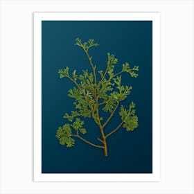 Vintage Atlantic White Cypress Botanical Art on Teal Blue n.0340 Art Print