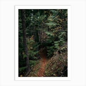 Fall Trail II Art Print