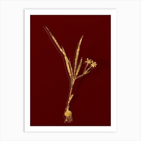 Vintage Gladiolus Inclinatus Botanical in Gold on Red n.0413 Art Print