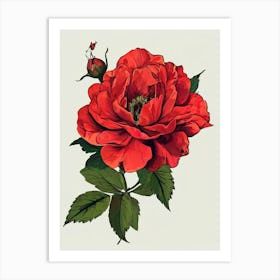 Red Rose 6 Art Print