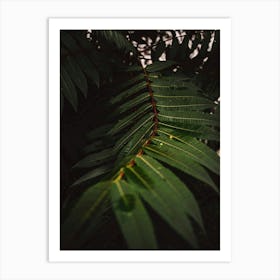 Green Tropical Leaf Art Print