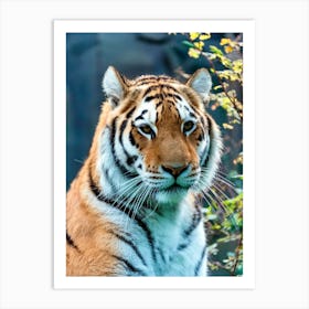 A majestic tiger with striking green eyes Art Print