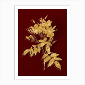 Vintage Musk Rose Botanical in Gold on Red n.0495 Art Print