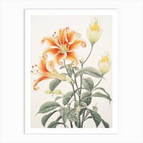 Himeyuri Okinawan Lily 2 Vintage Japanese Botanical Art Print
