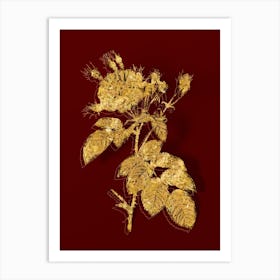 Vintage Harsh Downy Rose Botanical in Gold on Red n.0305 Art Print