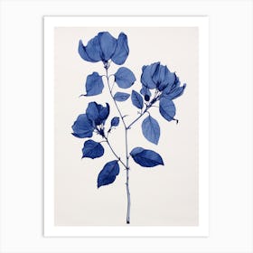 Blue Botanical Bougainvillea 2 Art Print