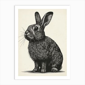 French Lop Blockprint Rabbit Illustration 2 Art Print