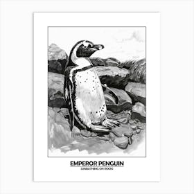 Penguin Sunbathing On Rocks Poster 4 Art Print