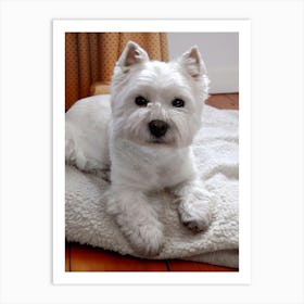 Maevey the Westie Art Print