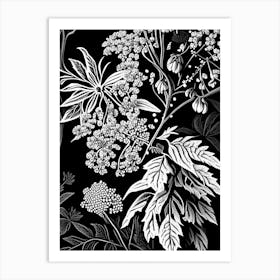 Elderberry Blossom Wildflower Linocut 2 Art Print