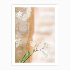 Small White Flowers And Pastel Art Print