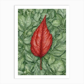 Red Leaf Art Print