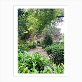 Path In A Garden Art Print