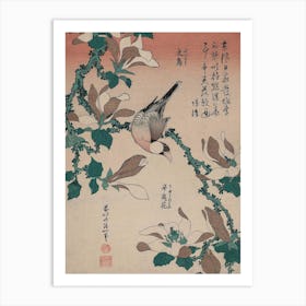 Java Sparrow And Magnolia Art Print
