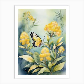 Butterfly On Australia Yellow Wattle Flowers Art Print