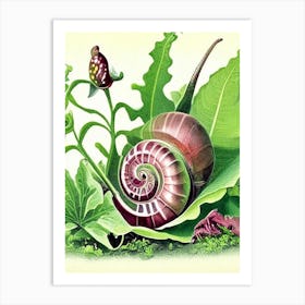 Garden Snail Feeding On Plants Botanical Art Print