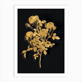 Vintage Burgundian Rose Botanical in Gold on Black n.0022 Art Print