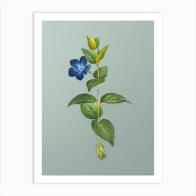 Vintage Greater Periwinkle Flower Botanical Art on Mint Green n.0476 Art Print