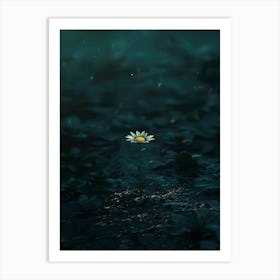 Daisy 31 Art Print