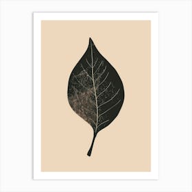 Black leaf on paper 62 Art Print