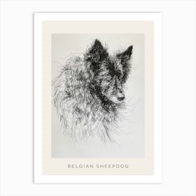 Belgian Sheepdog Line Sketch 3 Poster Art Print