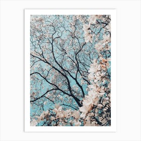 Magnolia Tree Art Print