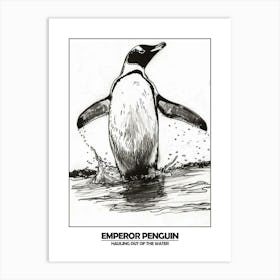 Penguin Hauling Out Of The Water Poster 5 Art Print