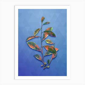 Vintage Grey Willow Botanical Art on Blue Perennial Art Print