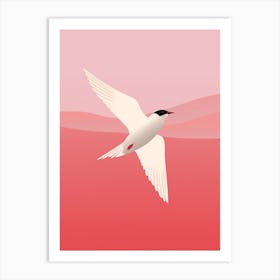 Minimalist Common Tern 2 Illustration Art Print